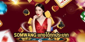 somwang แทงได้ทุกประเภท somwang